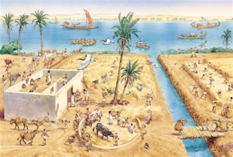 ¡Irrigation Engineering in Ancient Egypt: Un viaje a través de canales y pirámides!